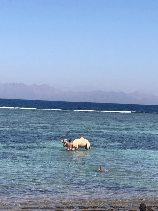 Moudy'S House Villa Dahab Exterior photo